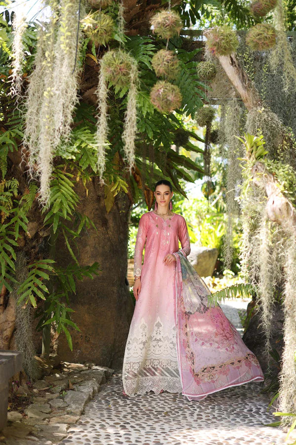 Noor by Saadia Asad | Luxury Chikankari Lawn’24 | D1-A Pink Ombre - Pakistani Clothes for women, in United Kingdom and United States