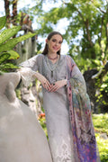 Noor by Saadia Asad | Luxury Chikankari Lawn’24 | D1-B Grey Ombre - Pakistani Clothes for women, in United Kingdom and United States