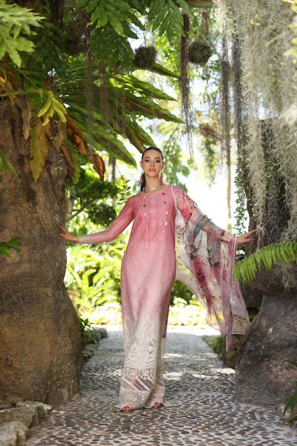 Noor by Saadia Asad | Luxury Chikankari Lawn’24 | D1-A Pink Ombre - Pakistani Clothes for women, in United Kingdom and United States