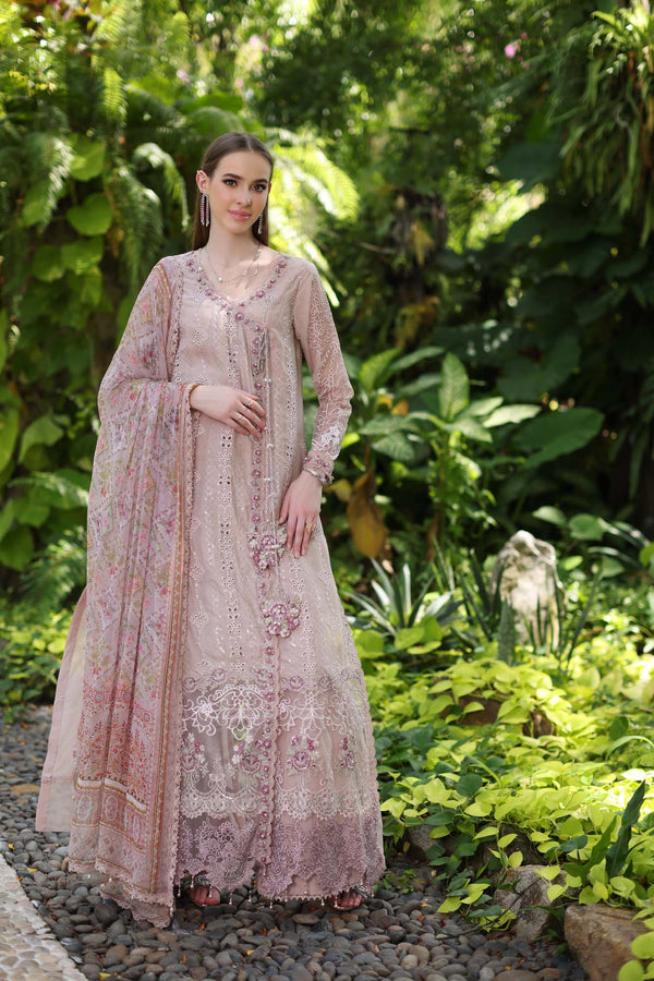 Noor by Saadia Asad | Luxury Chikankari Lawn’24 | D3-A Mink Schifli - Pakistani Clothes for women, in United Kingdom and United States