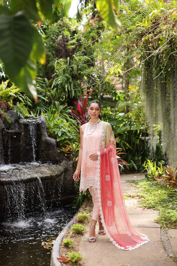 Noor by Saadia Asad | Luxury Chikankari Lawn’24 | D7-B Peach Tkm - Hoorain Designer Wear - Pakistani Ladies Branded Stitched Clothes in United Kingdom, United states, CA and Australia