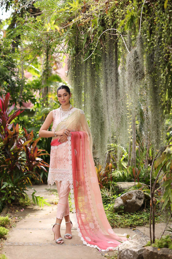 Noor by Saadia Asad | Luxury Chikankari Lawn’24 | D7-B Peach Tkm - Hoorain Designer Wear - Pakistani Designer Clothes for women, in United Kingdom, United states, CA and Australia