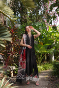 Noor by Saadia Asad | Luxury Chikankari Lawn’24 | D6-A Black Laser - Pakistani Clothes for women, in United Kingdom and United States