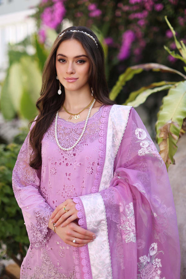 Noor by Saadia Asad | Luxury Chikankari Lawn’24 | D9-A Pink - Pakistani Clothes for women, in United Kingdom and United States