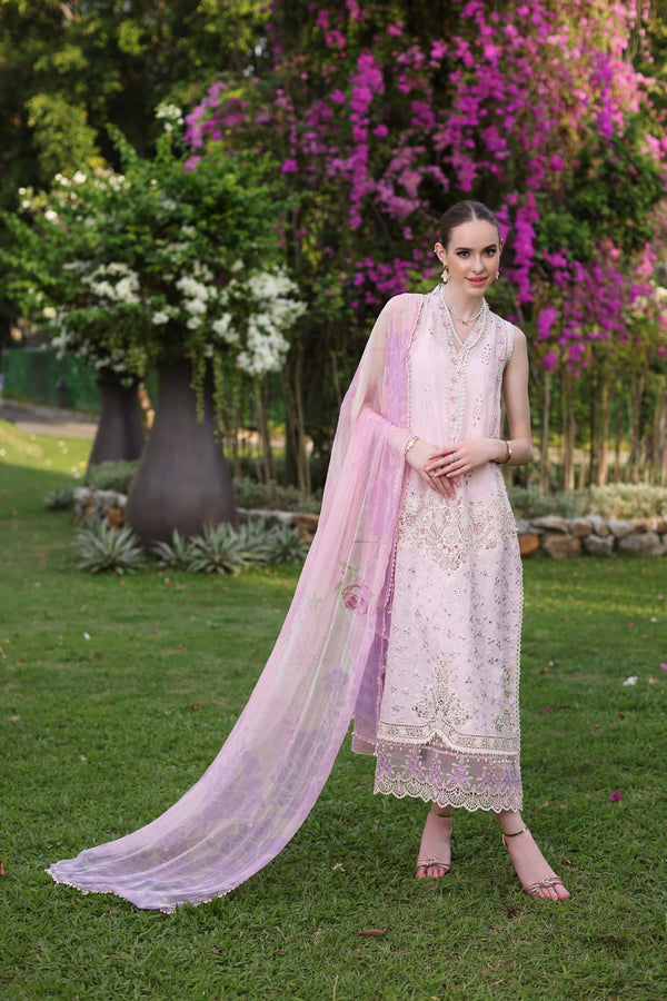 Noor by Saadia Asad | Luxury Chikankari Lawn’24 | D11-A Pink Schifli - Pakistani Clothes for women, in United Kingdom and United States