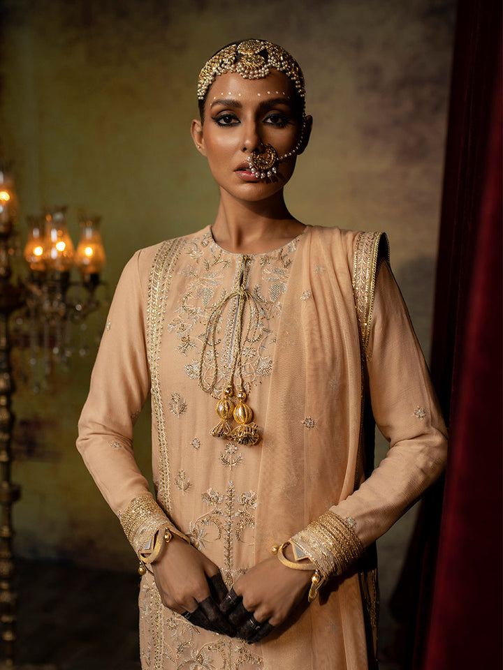 Salitex | Luxury Wear 24 | 34 - Hoorain Designer Wear - Pakistani Ladies Branded Stitched Clothes in United Kingdom, United states, CA and Australia
