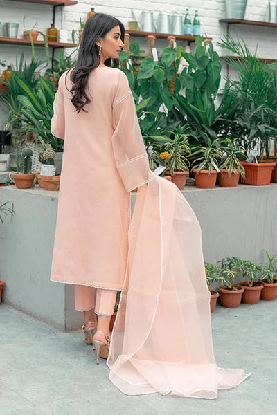 Jeem | Luxury Pret | STRIKING PEACH - Pakistani Clothes for women, in United Kingdom and United States