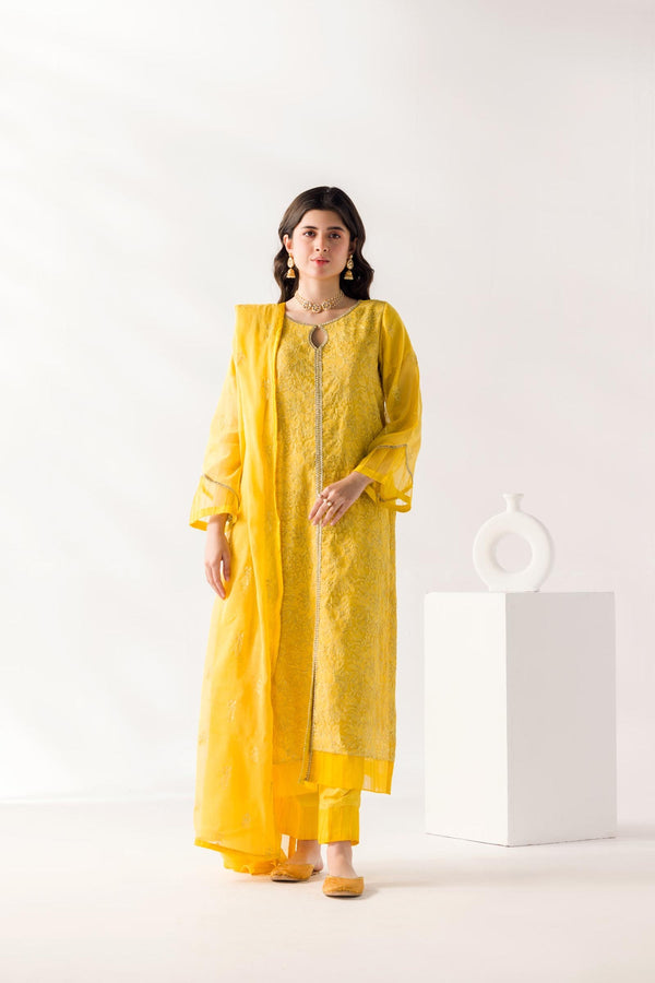 TaanaBaana | Luxe Line | F0387A - Hoorain Designer Wear - Pakistani Ladies Branded Stitched Clothes in United Kingdom, United states, CA and Australia