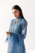 TaanaBaana | Luxe Line | F0388A - Pakistani Clothes for women, in United Kingdom and United States