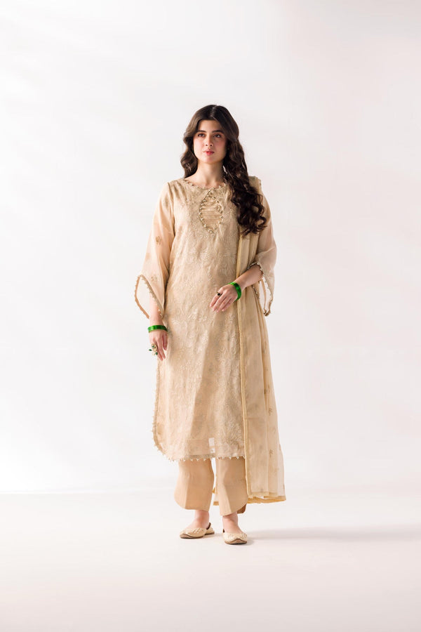 TaanaBaana | Luxe Line | F0384B - Hoorain Designer Wear - Pakistani Ladies Branded Stitched Clothes in United Kingdom, United states, CA and Australia