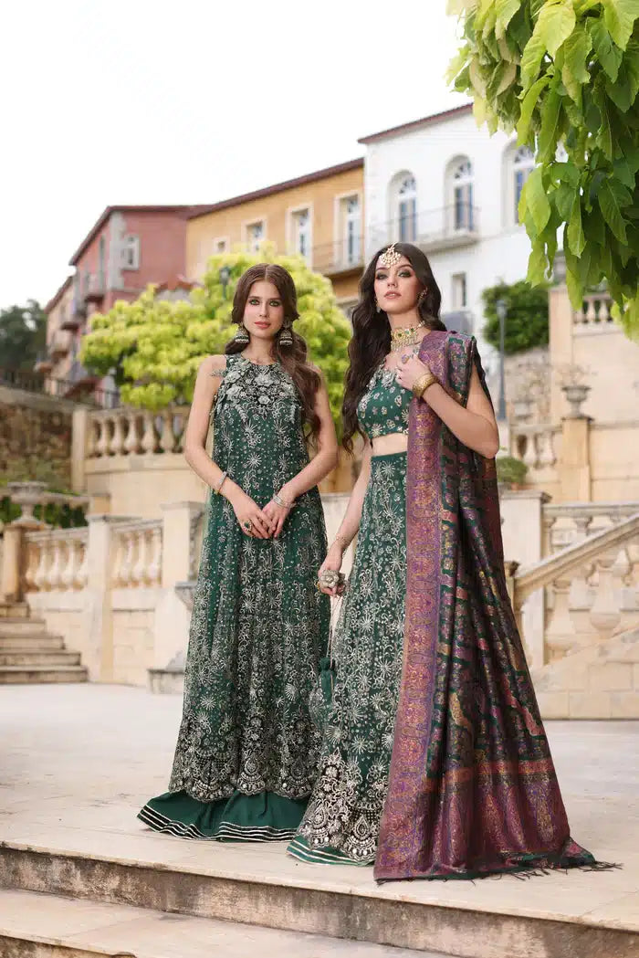 Noor by Saadia Asad | Kaani Wedding Formals 23 | D1 - Pakistani Clothes for women, in United Kingdom and United States