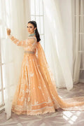 House of Nawab | Gul Mira Luxury Collection 23 | Meshki - Pakistani Clothes for women, in United Kingdom and United States