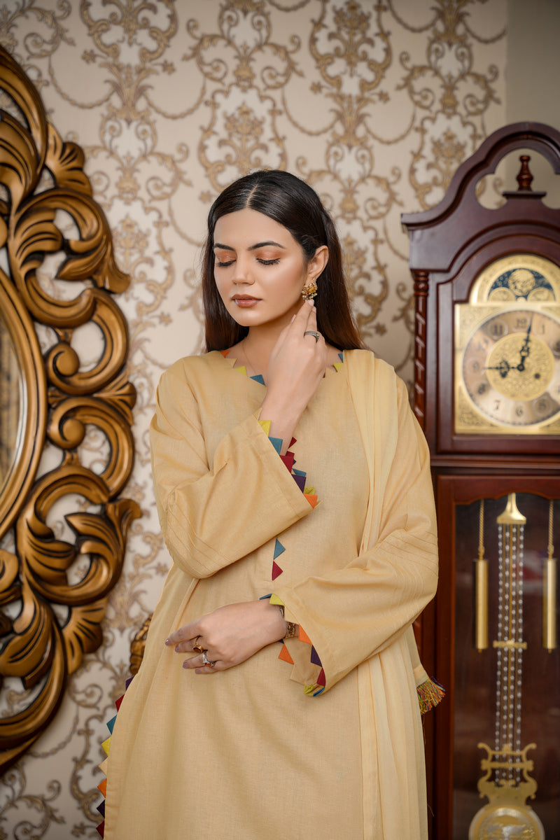 Hoorain Basics | Slub Winter 23 | HB-SKN - Pakistani Clothes for women, in United Kingdom and United States