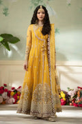 Qalamkar | Dilnaz Wedding Formals | DN-04 KANZA - Pakistani Clothes for women, in United Kingdom and United States