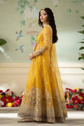 Qalamkar | Dilnaz Wedding Formals | DN-04 KANZA - Pakistani Clothes for women, in United Kingdom and United States