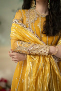 Qalamkar | Dilnaz Wedding Formals | DN-04 KANZA - Pakistani Clothes for women, in United Kingdom and United States