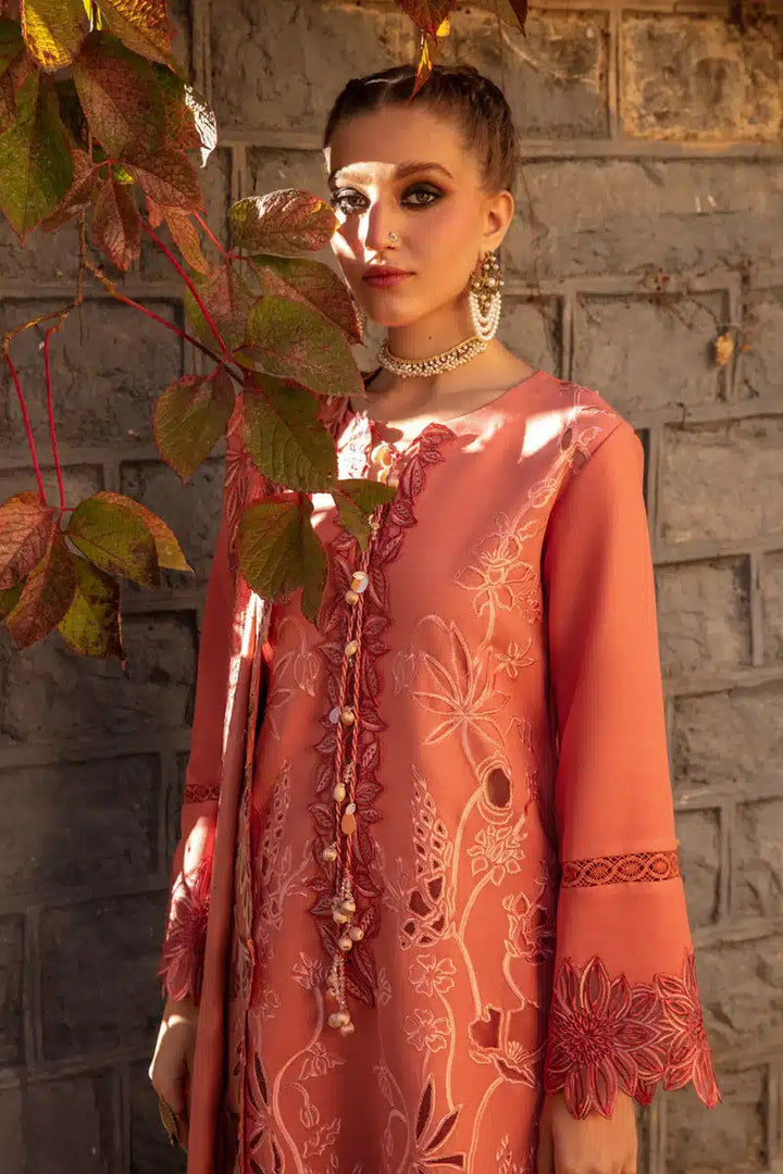 Rangrasiya | Premium Winter Collection 23 | Zufash - Hoorain Designer Wear - Pakistani Designer Clothes for women, in United Kingdom, United states, CA and Australia
