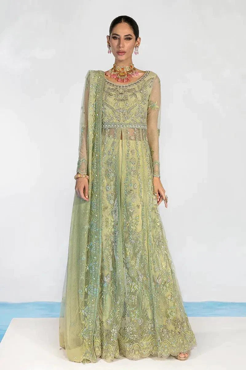 Rangrasiya | Chatoyer Wedding Formals 23 | Catalina - Pakistani Clothes for women, in United Kingdom and United States