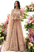 Zaha | Gossamer Formals 23 | NEDA (ZC23-04) - Pakistani Clothes for women, in United Kingdom and United States