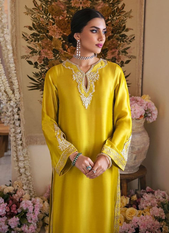 Farah Talib Aziz | Mayna Festive Luxe | Veesta Lime - Hoorain Designer Wear - Pakistani Ladies Branded Stitched Clothes in United Kingdom, United states, CA and Australia