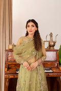 Farasha | Tabeer Wedding Formals 23 | Alaya - Pakistani Clothes for women, in United Kingdom and United States